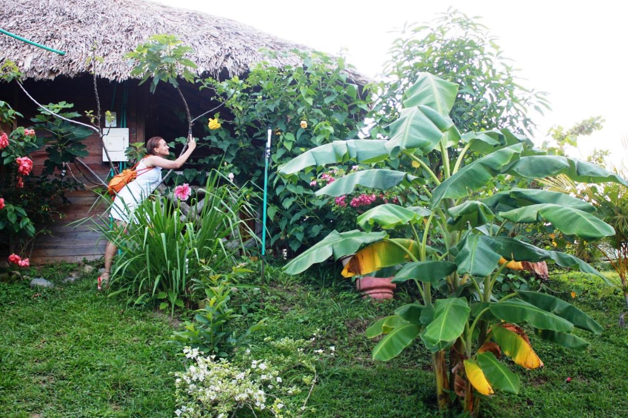 Cabanas Ecoturisticas Y Club Gaira Tayrona Villa Santa Marta  Exterior photo